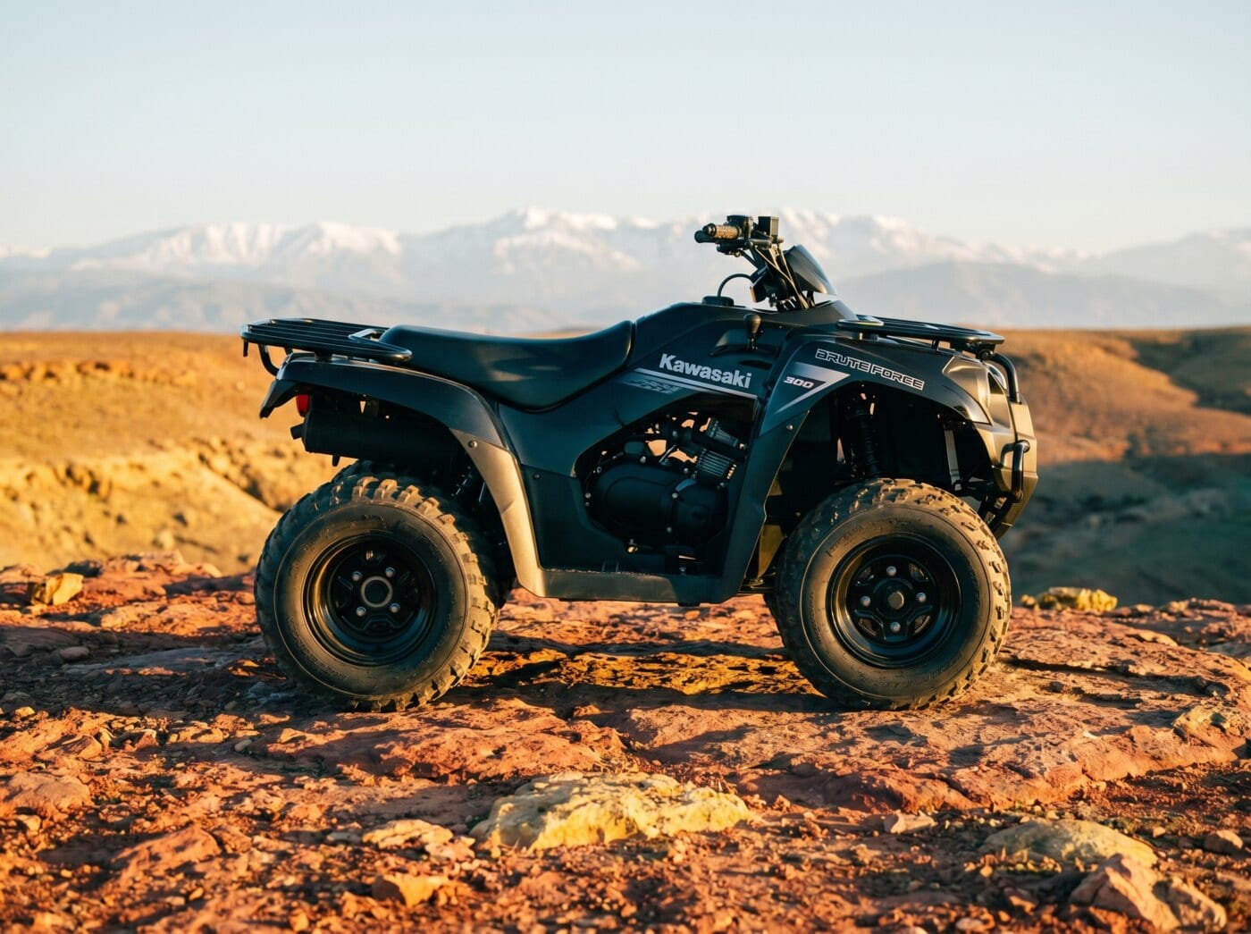 Quad Kawasaki Brute Force 300 de profil